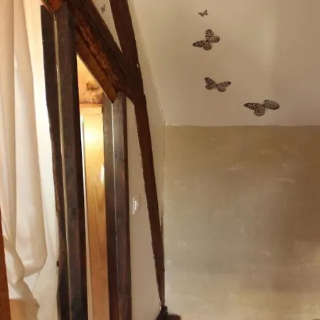 Renove Avec Terrasse, Animaux Admis Pres De St Pourcain - Fr-1-489-138 * Barberier