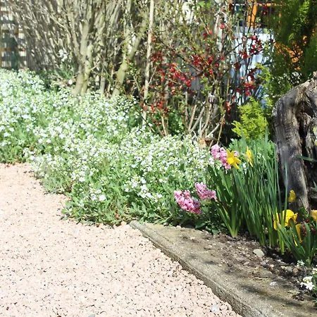 Renove Avec Terrasse, Animaux Admis Pres De St Pourcain - Fr-1-489-138 Nyaraló *