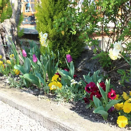 Rénové Avec Terrasse, Animaux Admis Près De St Pourçain - Fr-1-489-138 Casa rural *